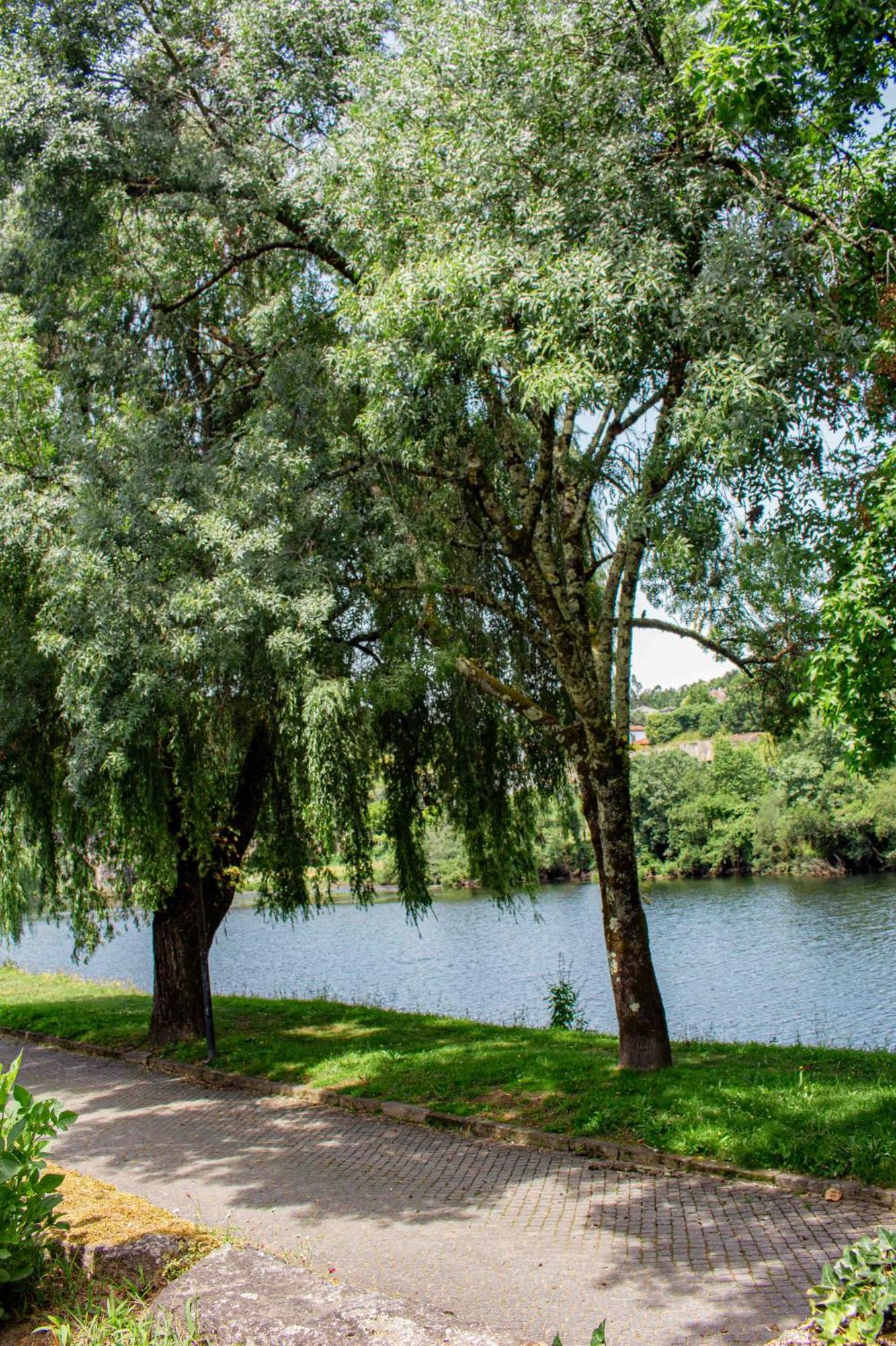 Casa Das Fontes Ponte da Barca Eksteriør bilde